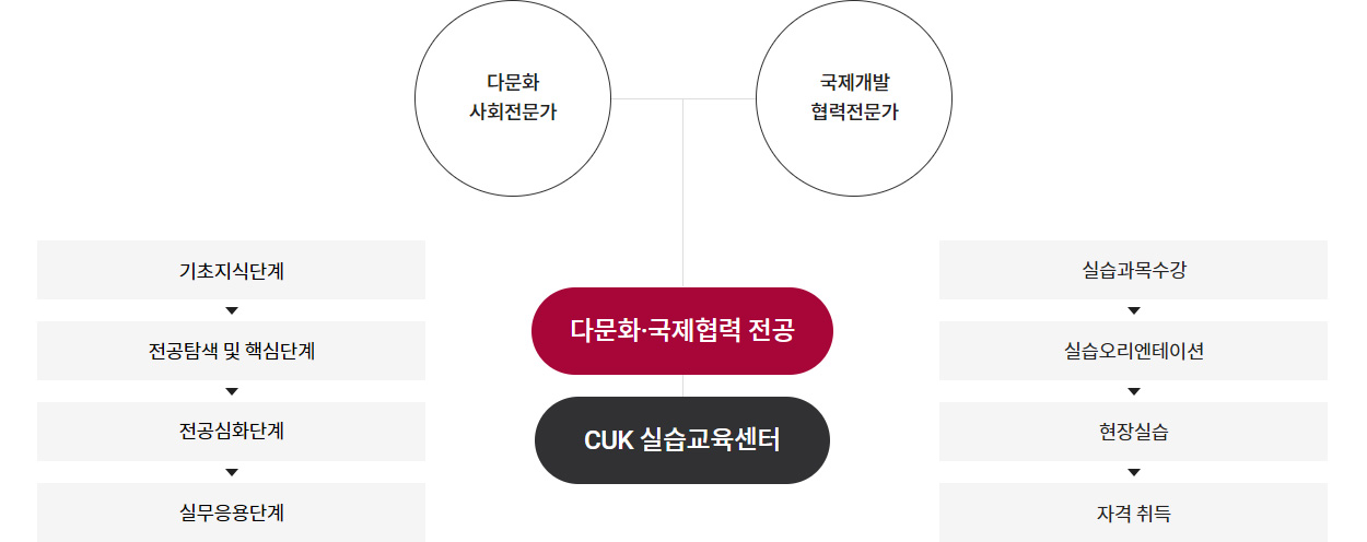 다문화·국제협력전공은 CUK실습교육센터와 함께 기초지식, 전공탐색 및 핵심, 전공심화, 실무응용단계의 이론 수업과 실습과목수강, 실습오리엔테이션, 현장실습, 자격취득의 실습을 진행한다.